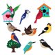 thumbnail image 2 of Juego de costura artesanal para , de fieltro y pájaros, animales de peluche, costura de guardería para , costura de animales para , Pájaro Macarena juguetes de costura, 2 of 8