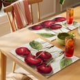 thumbnail image 4 of Vintage Red Cherry Placemats Set of 4 Retro Summer Botanical Place Mats Indoor Wipeable Table Mats Washable Cloth Dining Table Placemats for Kitchen Holiday Party Home Decor 13x19 Inch, 4 of 9