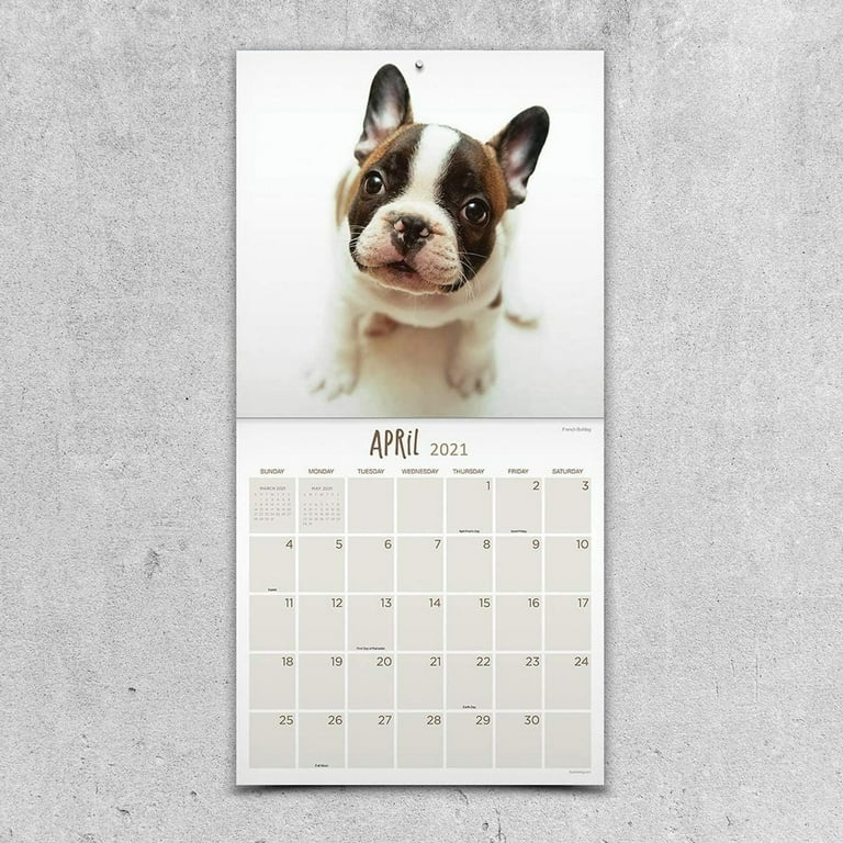 Digital Planner - Dogs and Cats 12 Month Calendar and Notes – Sparkle and  Comfort