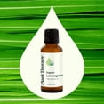 thumbnail image 3 of Plant Therapy Organic Lemongrass Essential Oil 100% Pure, USDA Certified Organic, Undiluted 30 mL (1 oz), 3 of 8
