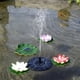 thumbnail image 3 of Bomba de Agua de Baño de Pájaro de Fuente de 2 Piezas Flotante Boquillas Decoración de Estanque de Jardín, 3 of 9