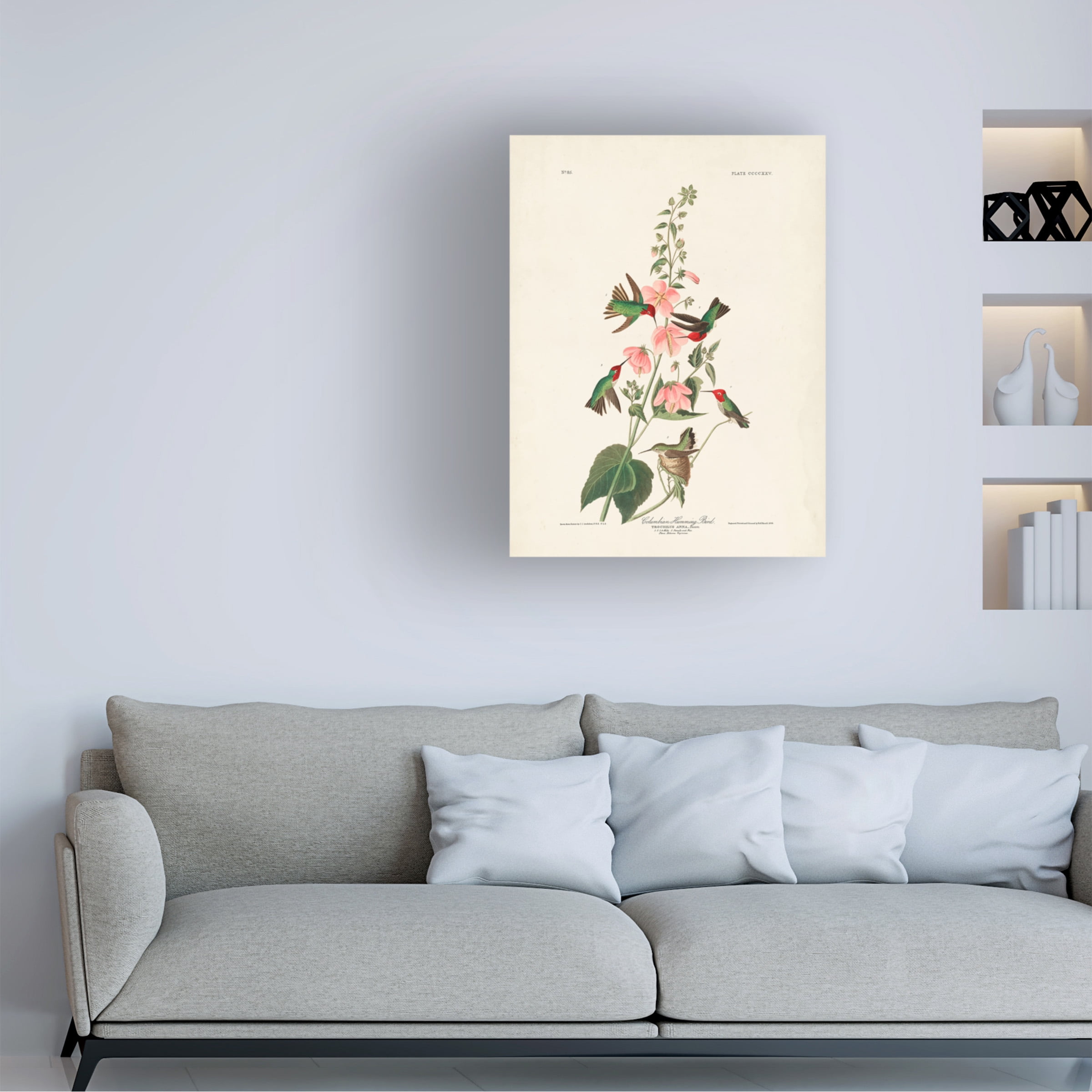 John James Audubon 'Columbian Hummingbird' Canvas Art