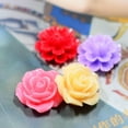 thumbnail image 3 of 12x50x Flores De Resina Botón Floral De Colores Para La Fabricación De Joyas Para La Caja Del Teléfono Sunnimix Botón resina Flor Cabujones, 3 of 8