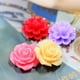 thumbnail image 3 of 6x50x Flores De Resina Botón Floral De Colores Para La Fabricación De Joyas Para La Caja Del Teléfono Sunnimix Botón resina Flor Cabujones, 3 of 8