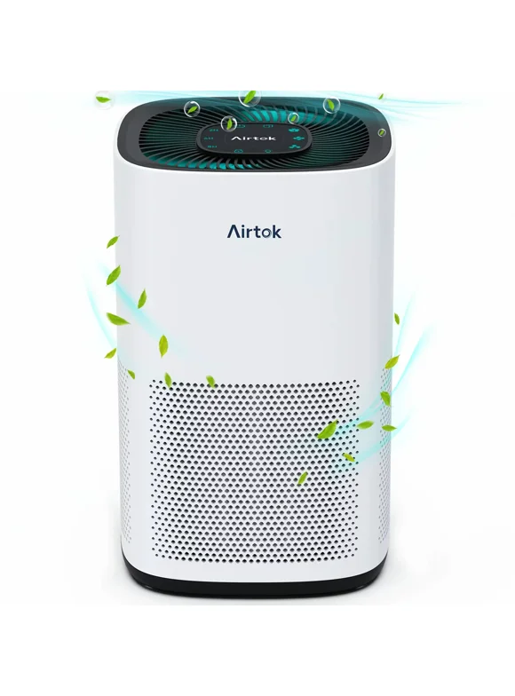 Large Room Air Purifiers in Air Purifiers