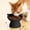 Black, variant on Lunxisen 4 Pcs Elevated Cat Food Bowl, Ceramic Raised and Tilted Water Bowl, Anti Vomiting and Protect Pets' Spines Dishes for Small Dog, Fat Faced Cat, Kitten