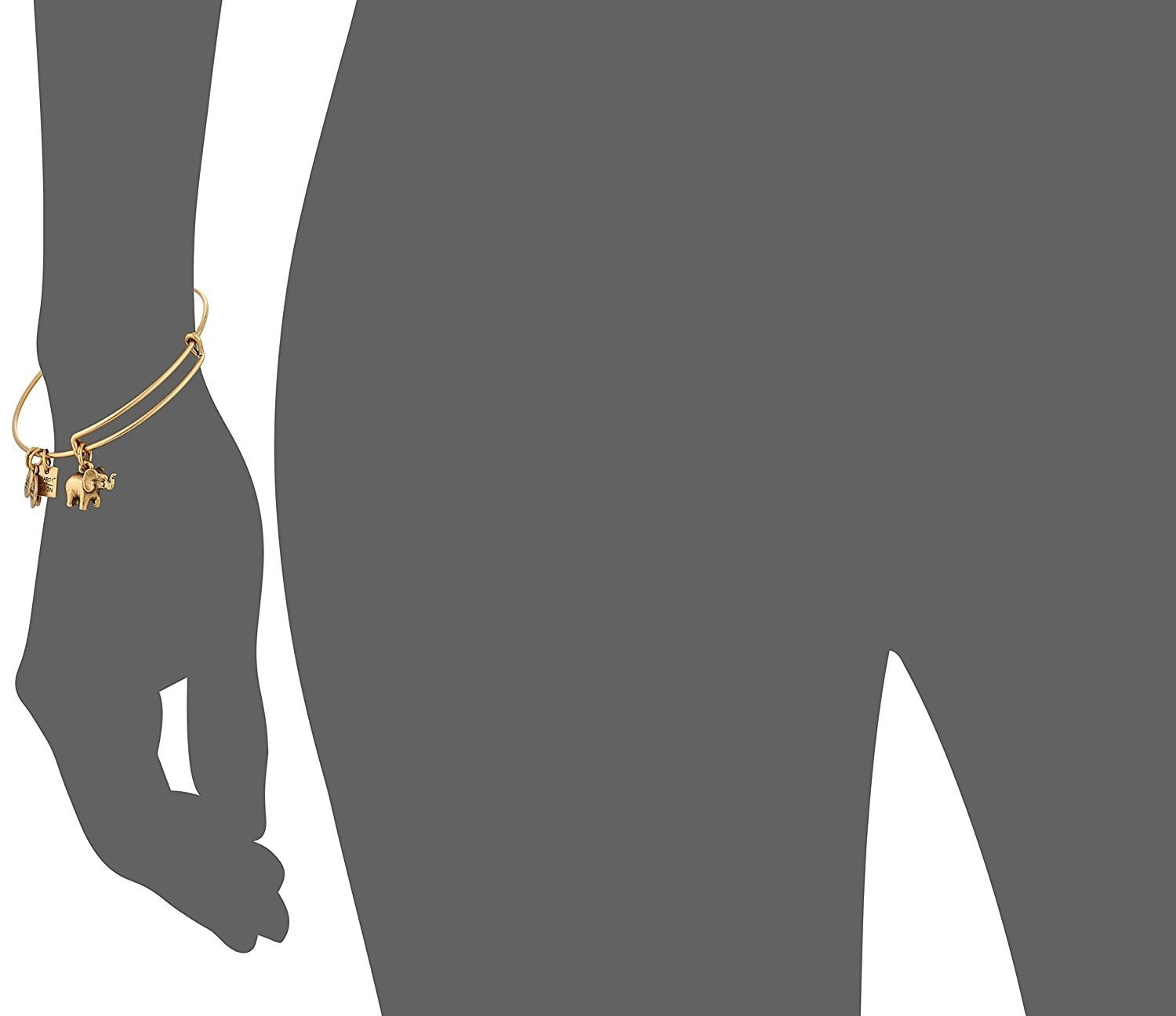 ALEX AND ANI】Charity by Design, Hummingbird II Bangle - alfej.com