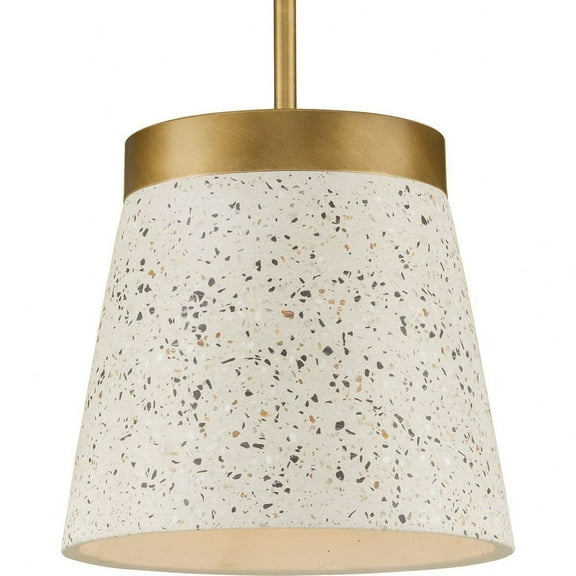 P500313-175-Progress Lighting-Terrazzo - 1 Light Pendant-Distressed Brass Finish    -Traditional Installation