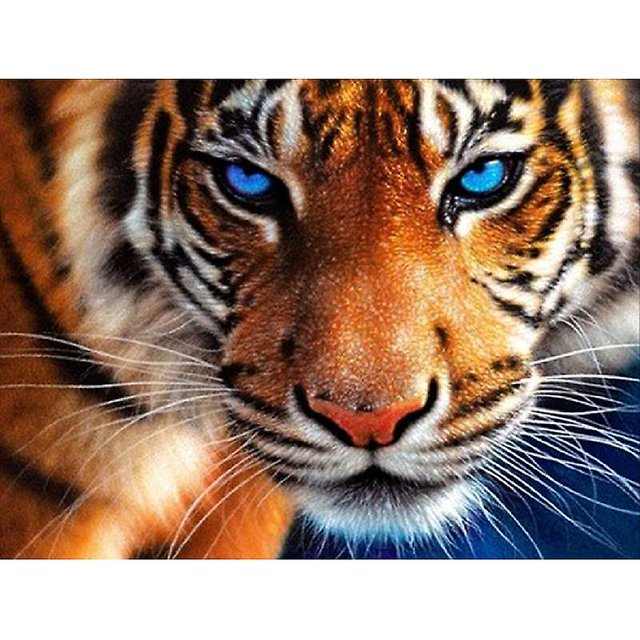 Pintura de diamante 5D de resina redonda con diseño de animales, 12 x 16 pulgadas