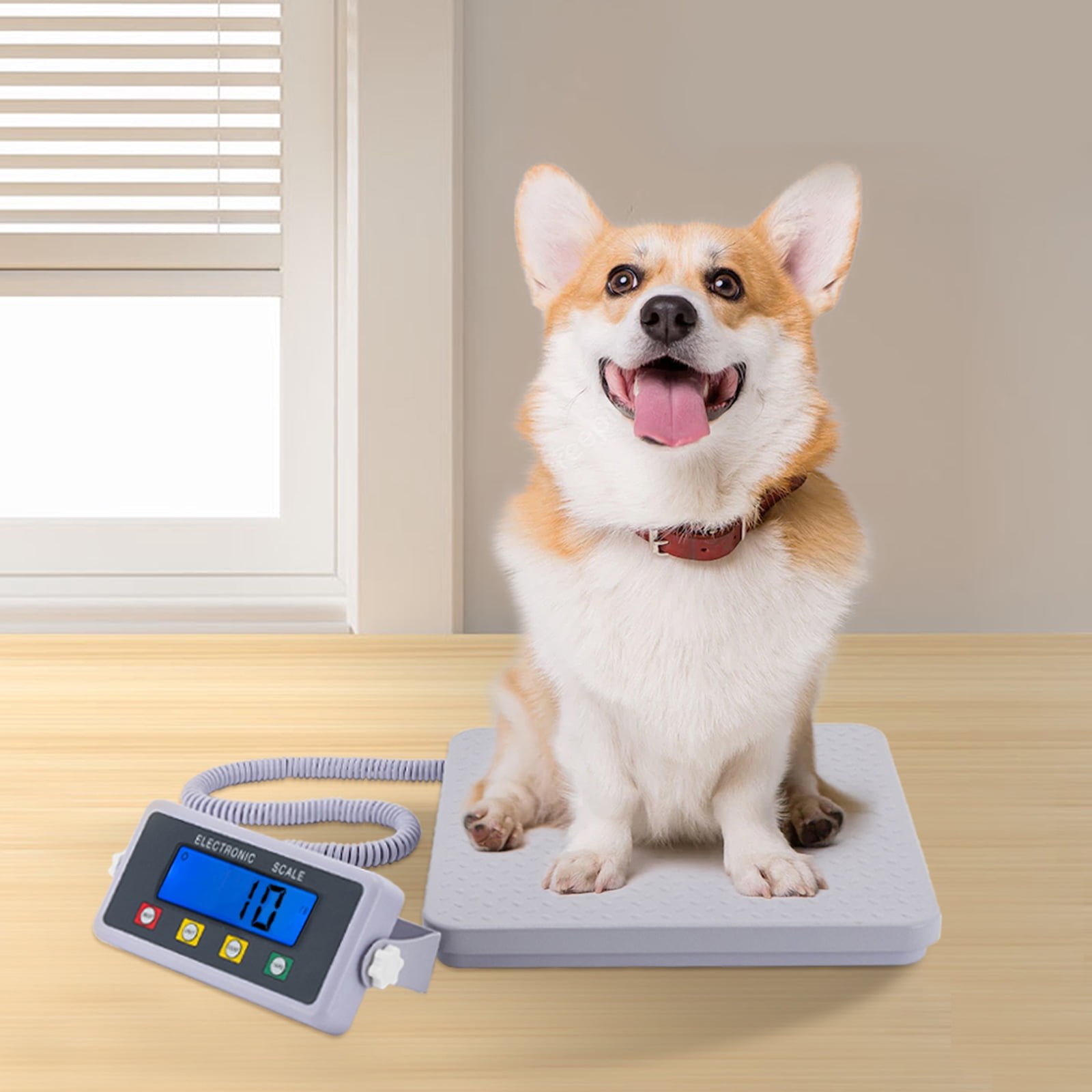 Medical Grade Floor Scale Digital LCD Display Slimline Scale Pet Weight Scale for gyms, clinics, medical institutions