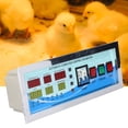 thumbnail image 1 of Controlador de incubadora de huevos termostato Sensor de temperatura y humedad XM-18G incubadora de huevos incubadora de huevos de aves de corral para gallina ganso y pato ANGGREK  Otros, 1 of 8