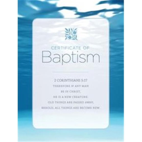 B & H Publishing 152714 5.5 x 3.5 in. Certificate-Baptism Water & Clouds - Pack of 6