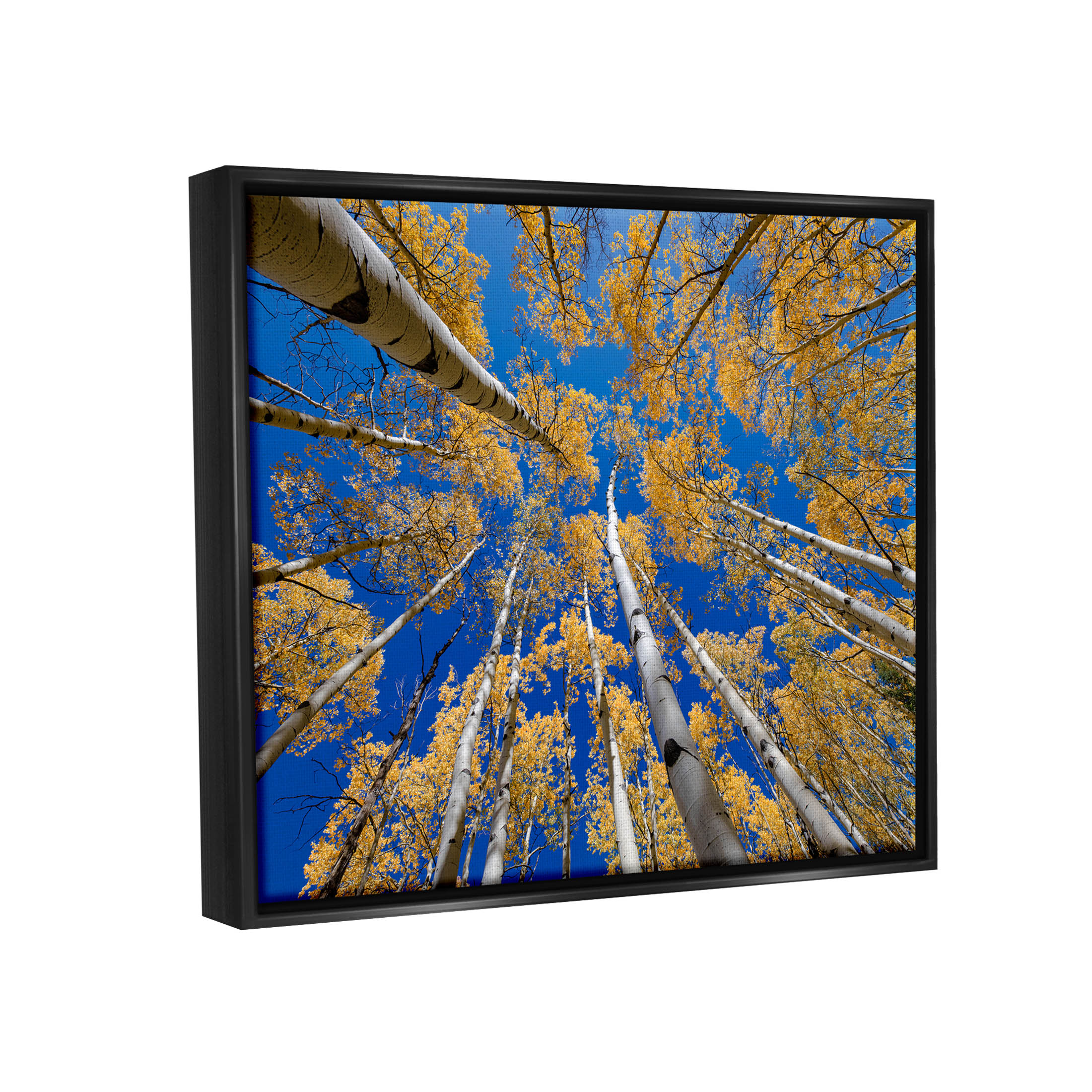 Looming Woodland Foliage Trees Landscape Photograph Jet Black Framed Art Print Wall Art