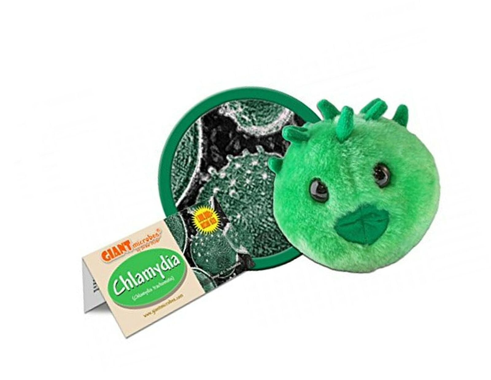 chlamydia plush toy