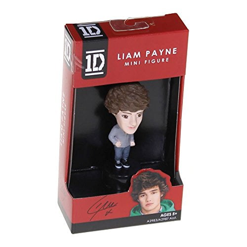 Ages 6+ ONE DIRECTION Collectible LIAM Figurine CARABINER/KEYCHAIN 1D carded 