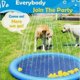 thumbnail image 5 of Fidofaves Splash Pad for Dogs, Fidofaves Splash Pool, Dog Splash Pad for Dogs, 5 of 5