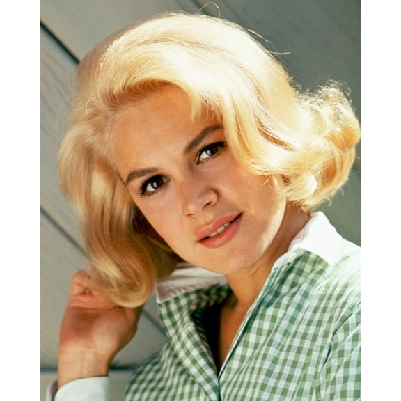 Sandra Dee 24X36 Classic Hollywood Poster Classic 1960's Portrait