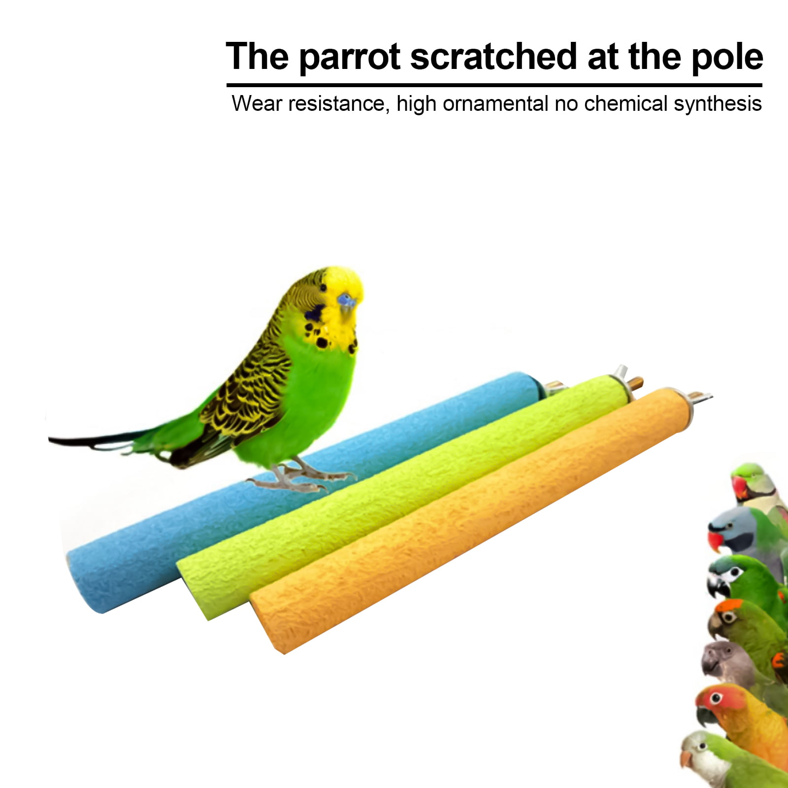 Colorful Pet Bird Parrot Chew Toys Paw Grinding Cage Stand Perches Budgie 25cm 