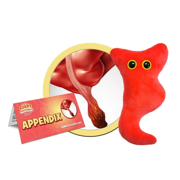 GIANTmicrobes Appendix Plush - Educational Adorable Plush Anatomical Organ Toy, Unique Get Well Gift for Appendicitis/ Post-Surgery/Students/Nurses/Surgeon/Medical Education