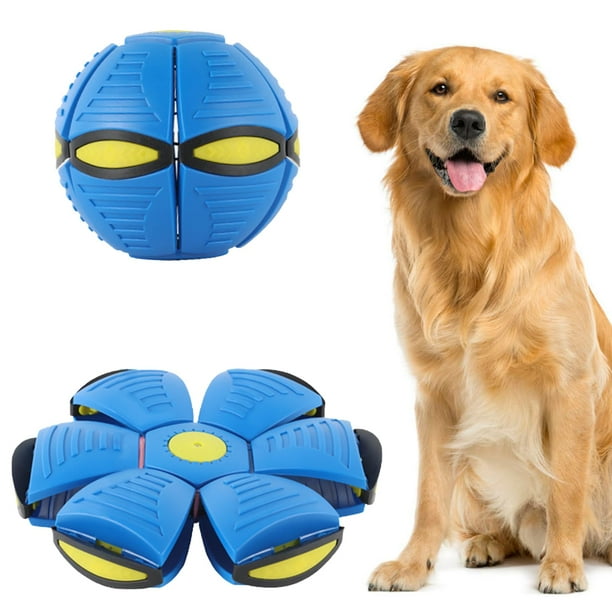 Juguete de bola de platillo volador para perros, juguete de bola de disco para perros de tiro plano al aire libre, bola de perro de forma cambiable, juguetes interactivos para mascotas