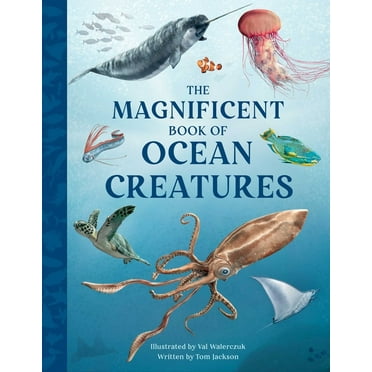 The Magnificent Book of: The Magnificent Book of Ocean Creatures (Hardcover)