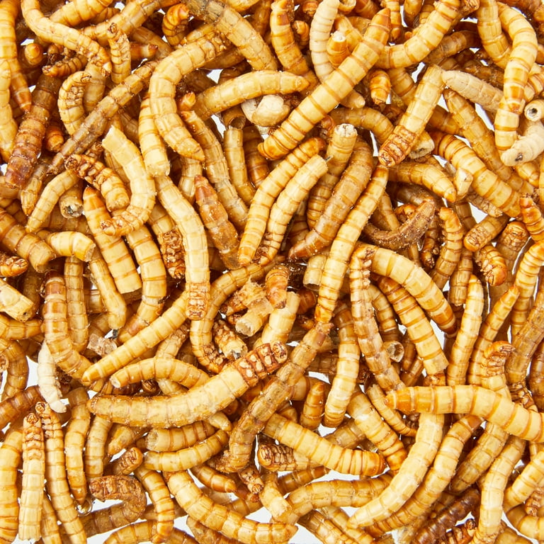 Dried mealworms sale