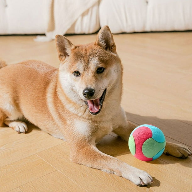 Pet Toys Dogs Won't Gnaw Dogs Won't Gnaw Molars Won't Gnaw Self Pleasure Relief Toys Balls Funny Cats Pet Balls Supplies
