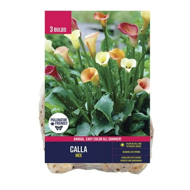Van Zyverden Calla Lily Mix (Set of 3 Dormant Bulbs) Partial Sun, Multi-Color, Annual
