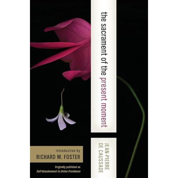 Pre-Owned The Sacrament of the Present Moment (Paperback) 0060618116 9780060618117