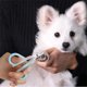 thumbnail image 1 of pstuiky Cortaúñas de metal suministros para mascotas cortaúñas de cola de pez cortaúñas para perros y gatos herramientas de manicura para mascotas cortaúñas, 1 of 6