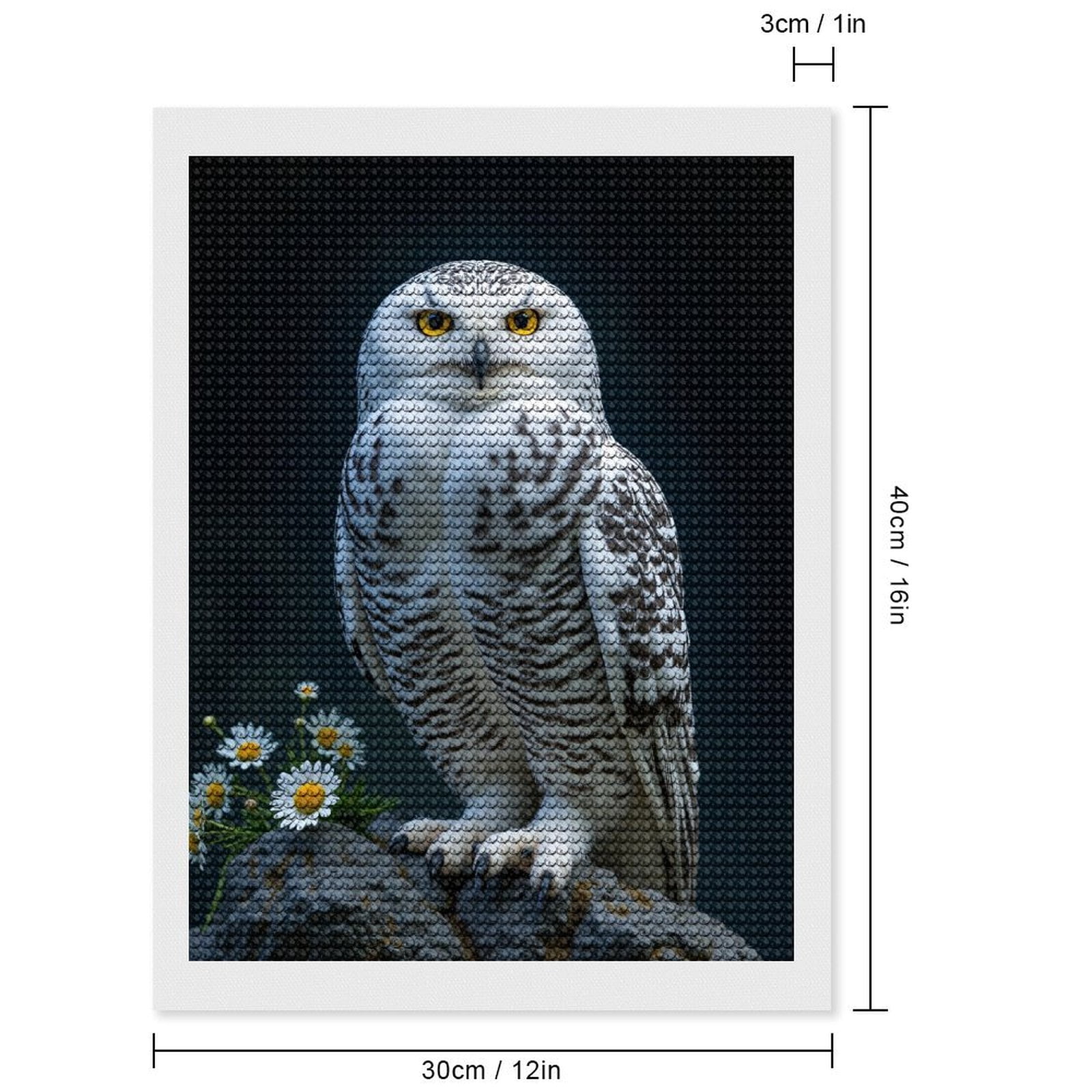 Diamond Art Kits for Adults - White Owl Perched On Rock Daisies 5d Diamond Painting for Adults, Diamond Art for Adults Beginners, Frameless Diamond Painting Kits for Adults for Home Wall Decor