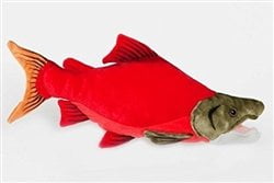 salmon plush