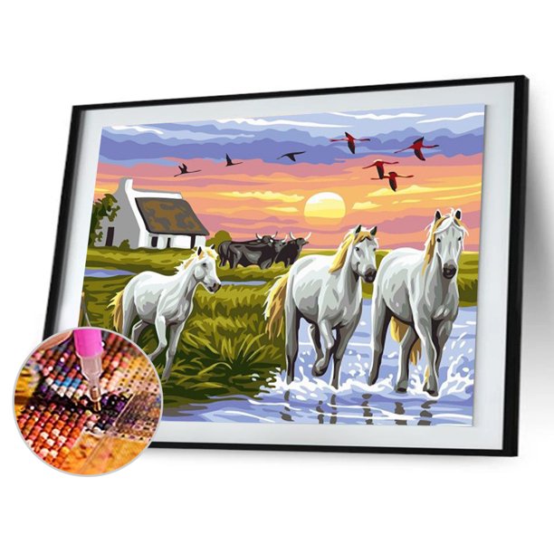 Cuadros Decorativos Kit de pintura de resina de diamante redondo de taladro completo con imagen de río Pony mosaico DIY Sywqhk Nuevos Originales