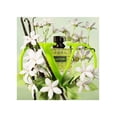 thumbnail image 2 of Perfume Valentino Donna Born in Roma Green Stravaganza 50ml, 2 of 4