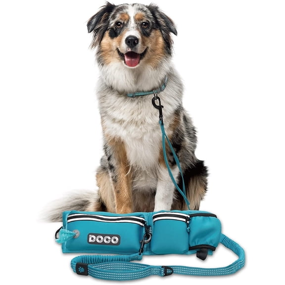 DOCO Hands Free Dog Leash (Waist 26- 48, Leash- 1x 5ft) Waist Belt for Walking, Running & Hiking, Bungee with Dual Handles, Adjustable Fit, Reflective Safety Design for Large Dogs (Turquoise)