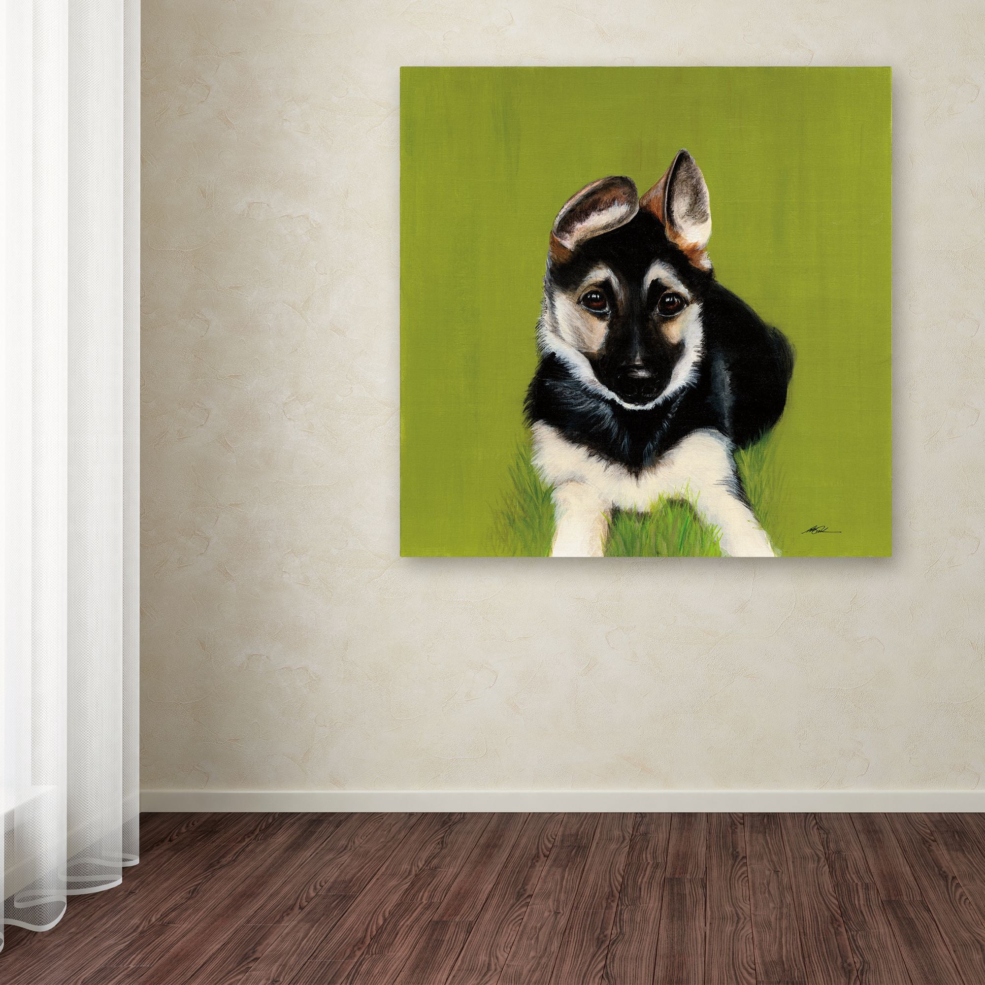 Trademark Fine Art 'Bonelli' Canvas Art by Patsy Ducklow
