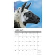 thumbnail image 3 of Llamas 2024 12 X 12 Wall Calendar (Calendar), 3 of 3