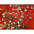 thumbnail image 2 of Van Gogh, Vincent 18x15 Gold Ornate Wood Framed with Double Matting Museum Art Print Titled - Mandorlo in fiore (red variation), 2 of 4