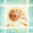 thumbnail image 2 of Greene, Taylor 12x12 Gold Ornate Wood Framed with Double Matting Museum Art Print Titled - Calming Shells, 2 of 4