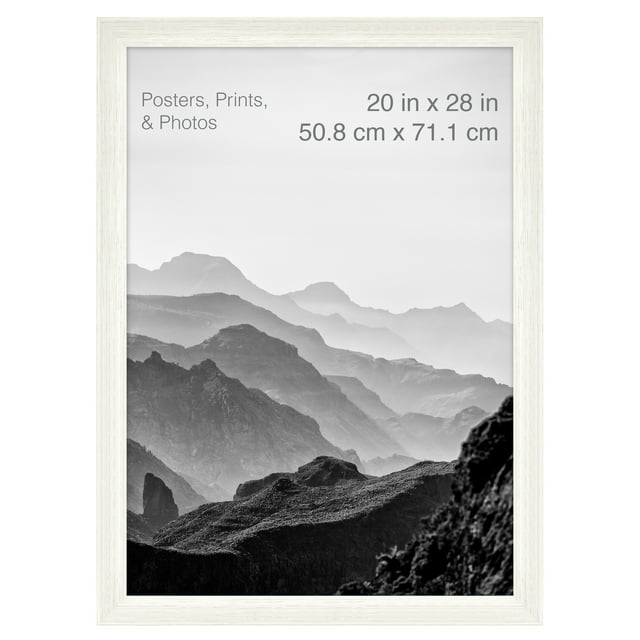 20x28 Inch Museum Poster Frame, White Woodgrain