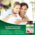 thumbnail image 4 of Zazzee Cranberry PACs – 72 mg PACs per Capsule – 2X Strength – 100% Soluble – 120 Vegan Capsules – 50:1 Extract – 18,200 mg Equivalent – Supports UTI Wellness – Made in USA, 4 of 11