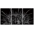 thumbnail image 3 of PixonSign Canvas Print Wall Art Set Silver Cactus Plant Rises Floral Wilderness Photography Realism Southwest Group Dramatic Grey Dark Black and White for Living Room, Bedroom, Office - 24"x36"x3, 3 of 5