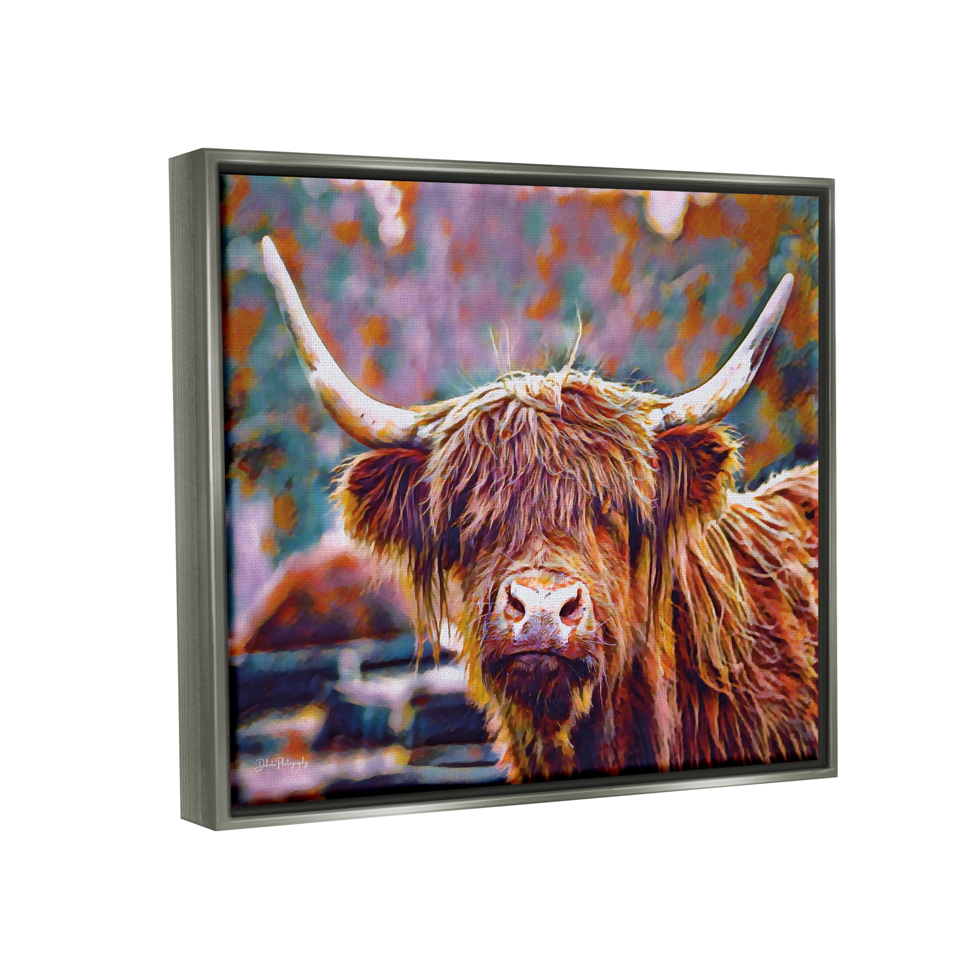 Stupell Industries Highland Cattle Modern Portrait Animals & Insects Photography Gray Floater Framed Art Print Wall Art, 31 x 25