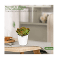 thumbnail image 5 of Plantas Suculentas  Lab.G Artificiales Macetas Decorativas Bonsai 6 pzs, 5 of 5