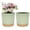 Green, variant on 8inch Resin Plant Pot Circular Separation Succulents Planter Flowerpot with Drainage Tray Plant Growth Cultivation Pot