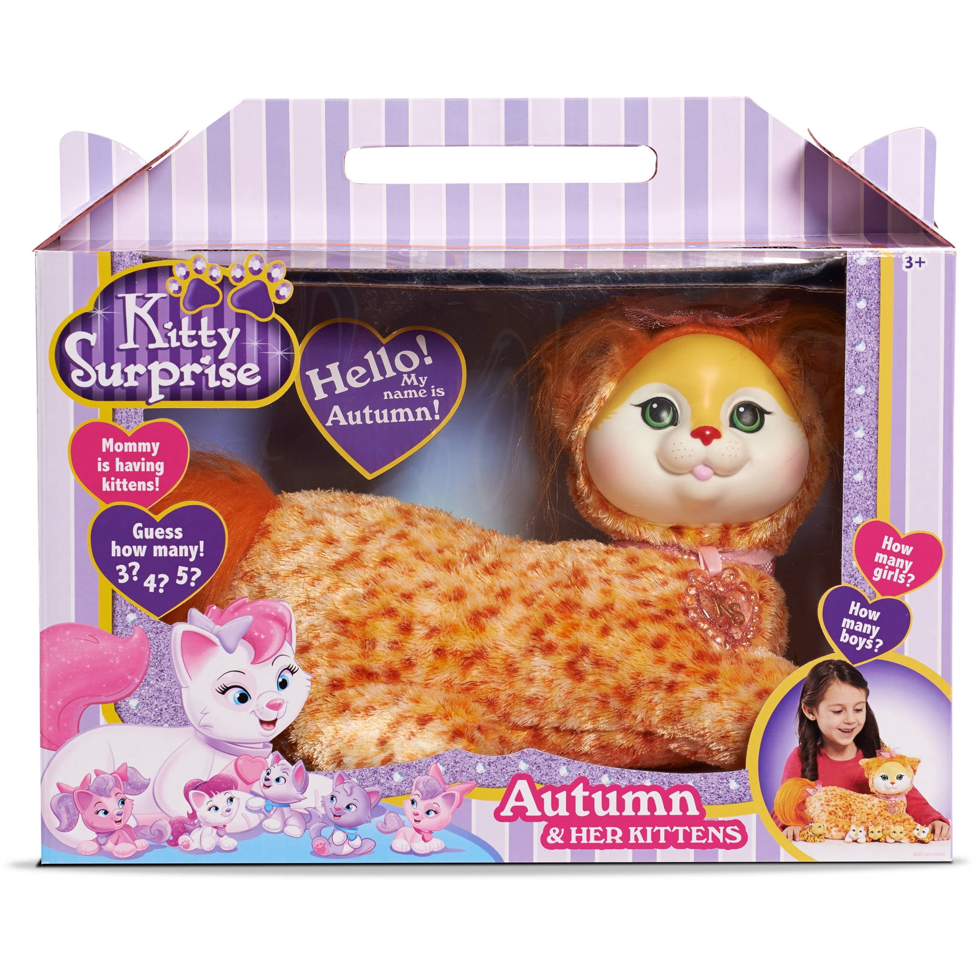 kitty surprise, autumn - walmart