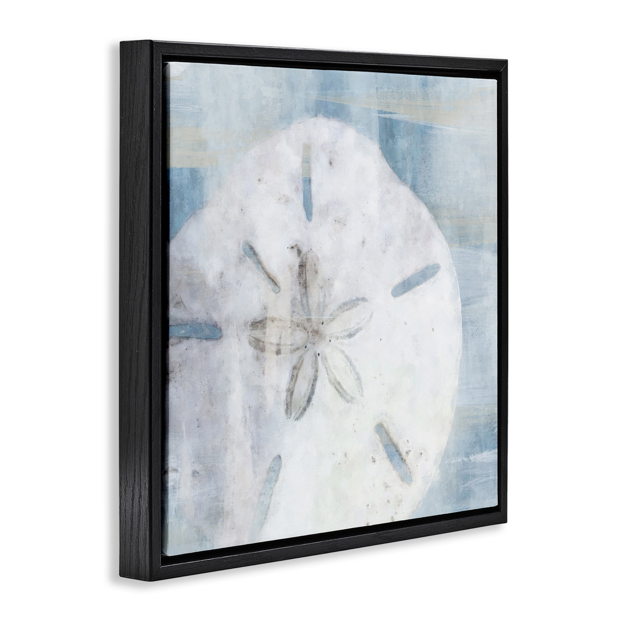 Stupell Industries Pastel Blue Sand Dollar Seashell Nature Painting Black Floater Framed Canvas Art Print Wall Art, 18 x 18