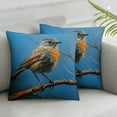 thumbnail image 2 of PIKWEEK  Decor Pillows Robin Bird Pillowcase Rustic Animal Bird Decorative Square Covers Home Decor for Outdoor Home Decor Decorative Throw Pillows Spring Farmhouse Decor  2pc, 2 of 6