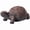 Brown, variant on XBrand 21.3"L Brown and Gray Concrete/MgO Walking Turtle Statue, Indoor or Outdoor Décor, Garden Décor, Turtle Statuary
