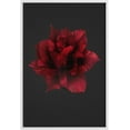 thumbnail image 3 of PixonSign Framed Canvas Print Wall Art Dark Red Floribunda Garden Rose Botanical Plants Photography Realism Farmhouse/Country Colorful Multicolor for Living Room, Bedroom, Office - 24"x36" White, 3 of 5